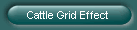 Cattle Grid Effect