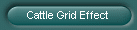 Cattle Grid Effect