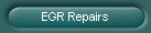EGR Repairs