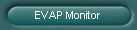 EVAP Monitor