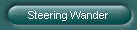 Steering Wander