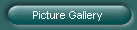 Picture Gallery