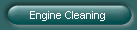 Engine Cleaning