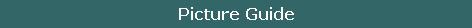 Picture Guide